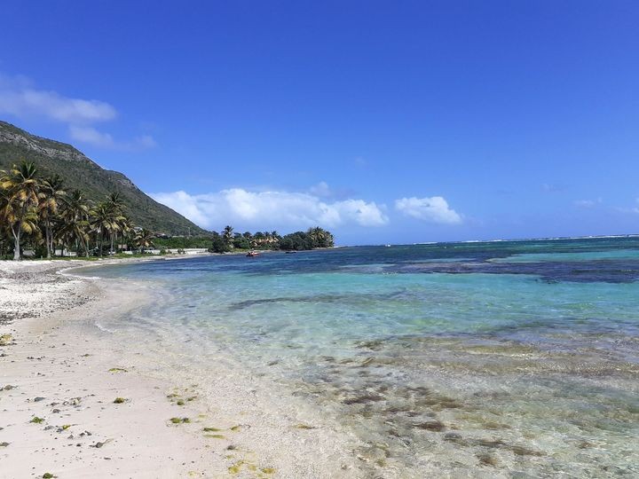 Plage de la Désirade - Site de reproduction de baleines